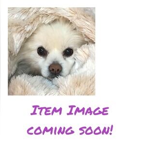 Dog Clothes Bundle EUC